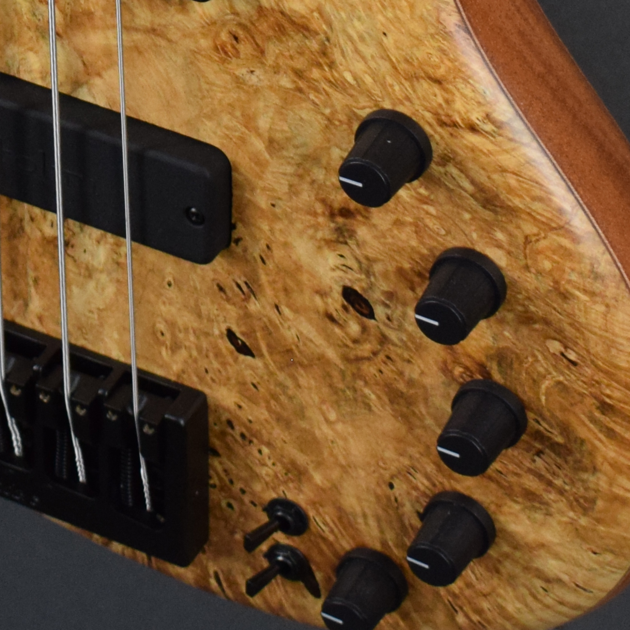 Elrick Gold Series, Hand-Carved e-volution 5-String Bass Guitar