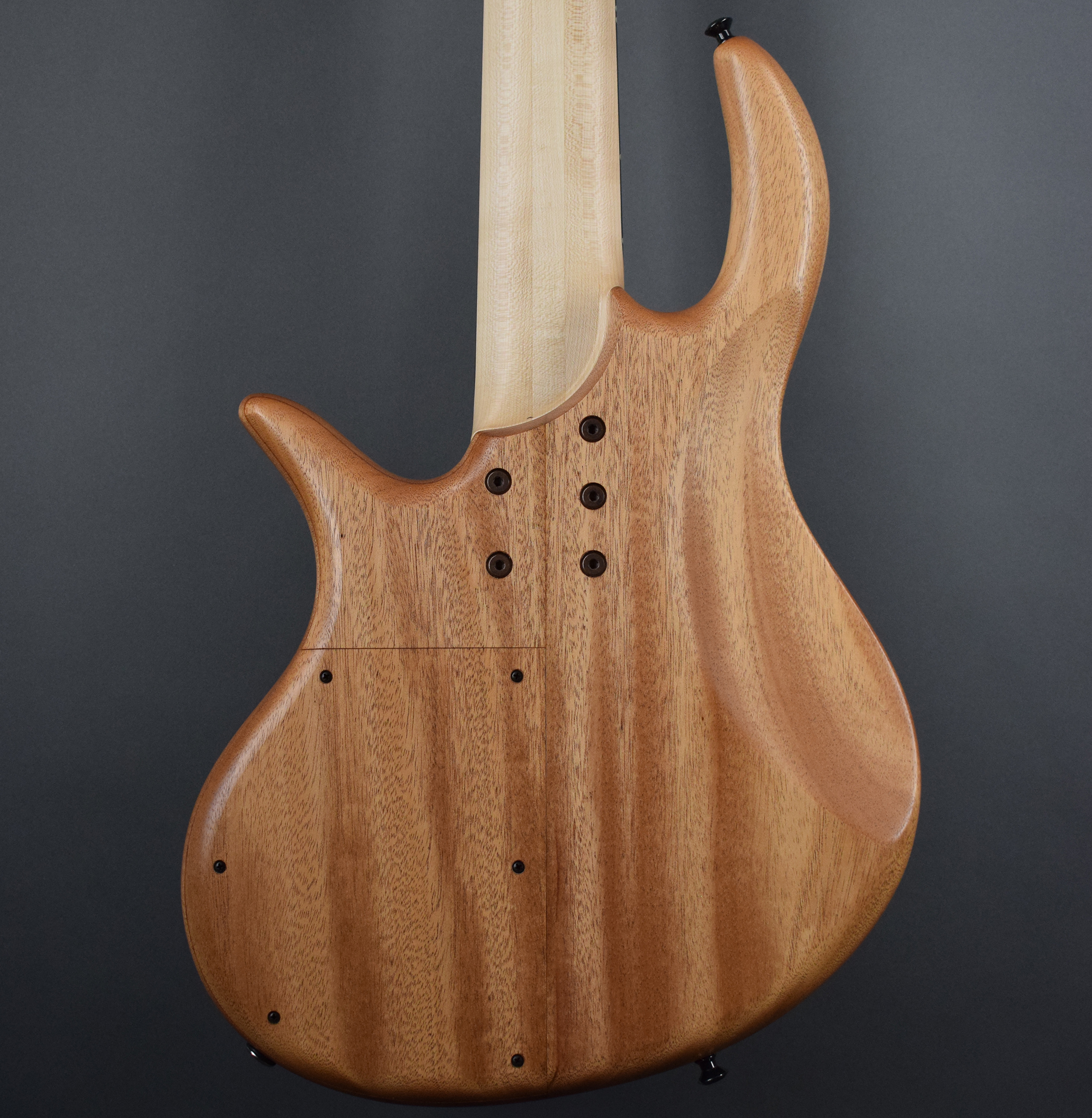 Elrick Expat eVolution 5-String ベース　5弦 Elrick Expat Evo 5 and Expat Evo 4
