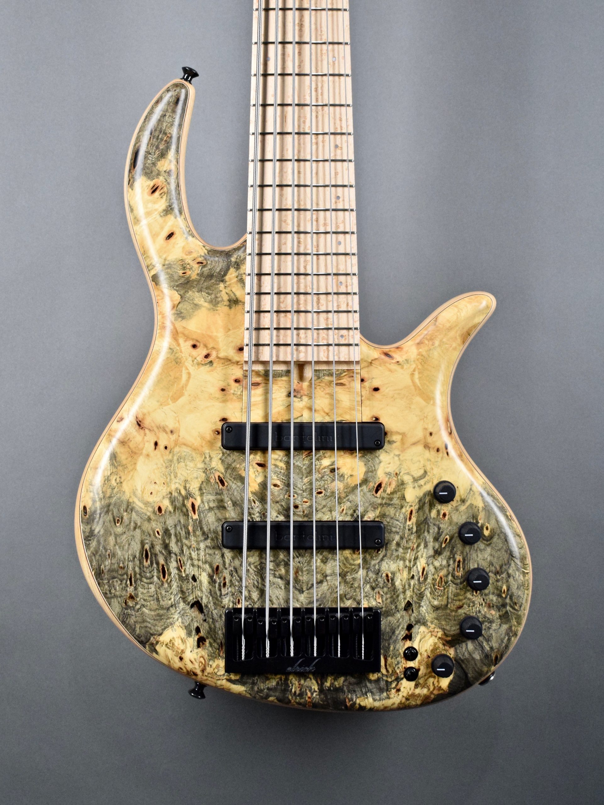 Elrick Gold Series, Hand-Carved e-volution 6-String Bass Guitar