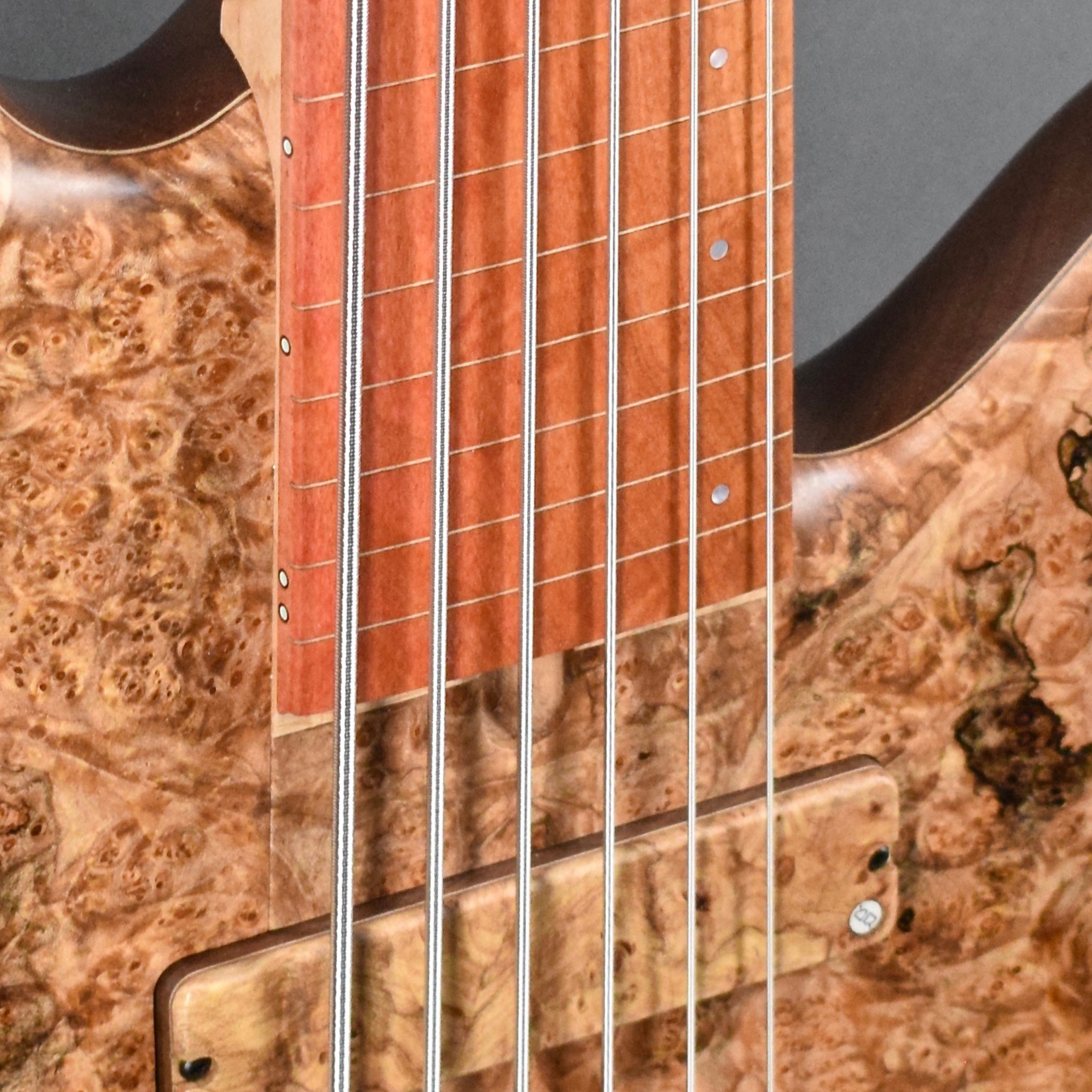 Elrick Handcarved e-volution 6-String Fretless, Gold Series SLC