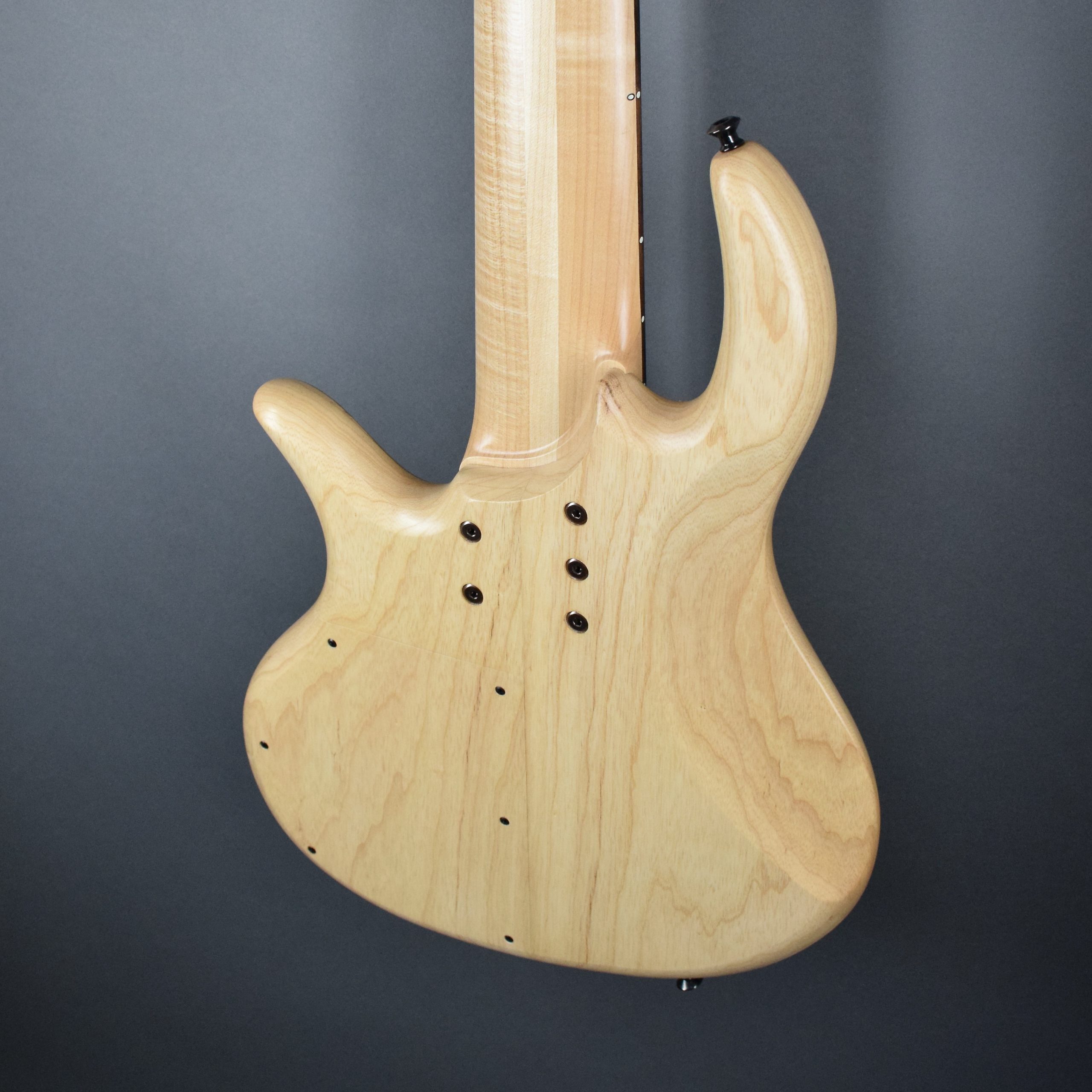 Elrick Gold Series, Hand-Carved e-volution 6-String Bass Guitar 