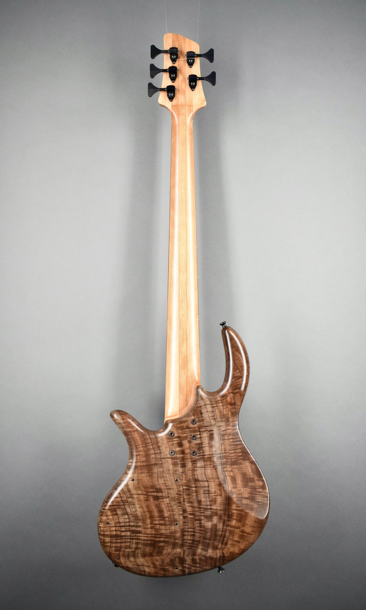 Elrick Gold Series, Hand-Carved e-volution 5-String Bass Guitar