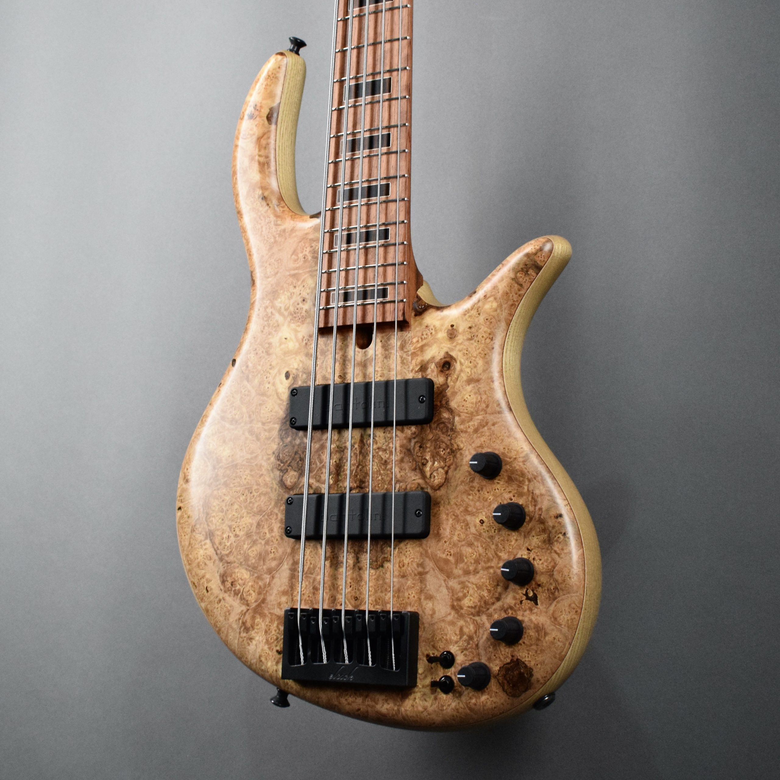 Elrick Gold Series, Hand-Carved e-volution 5-String Bass Guitar