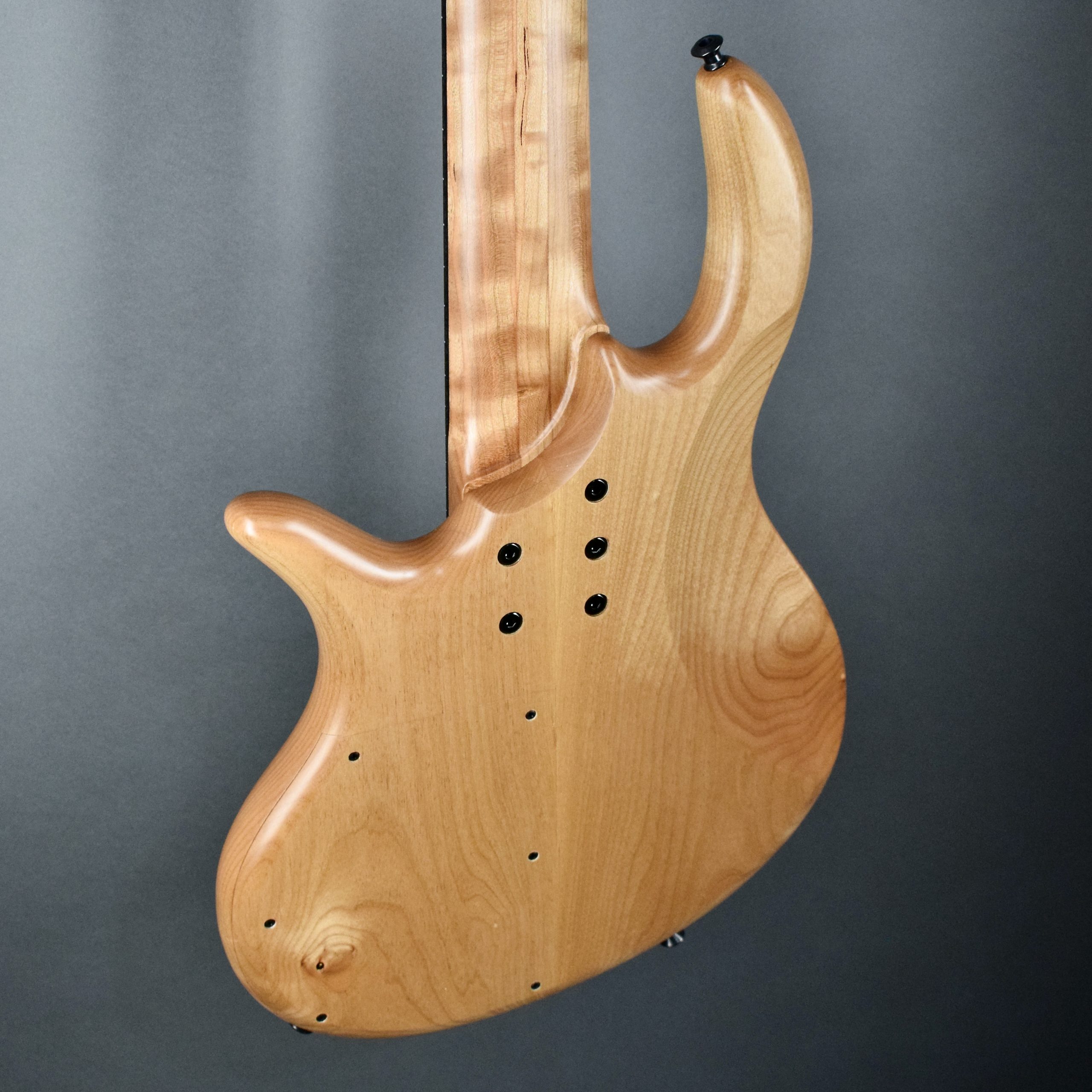 Elrick Gold Series, Hand-Carved e-volution 5-String Bass Guitar